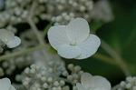 Dcim6230/DSC_8848