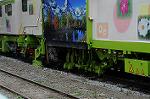 Dcim6236/DSC_0656