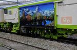 Dcim6236/DSC_0665