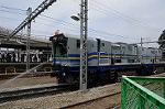 Dcim6236/DSC_0729