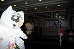 Dcim6245/DSC_0970
