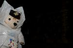 Dcim6246/DSC_1101