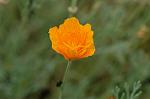 Dcim6253/DSC_9645