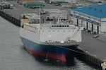 Dcim6256/DSC_9806