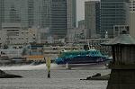 Dcim6256/DSC_9882