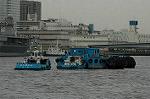 Dcim6256/DSC_9885