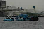 Dcim6256/DSC_9886