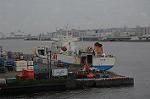 Dcim6261/DSC_2432
