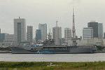 Dcim6268/DSC_2550