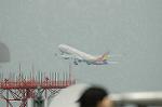 Dcim6272/DSC_0313