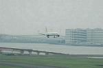Dcim6273/DSC_0420
