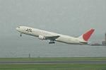 Dcim6277/DSC_0981