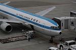 Dcim6278/DSC_2976