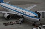 Dcim6278/DSC_2977