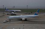 Dcim6278/DSC_3005
