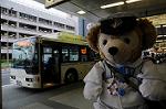 Dcim6279/DSC_3109