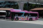 Dcim6283/DSC_3199