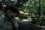 Dcim6283/DSC_3219