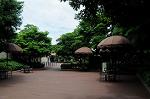 Dcim6284/DSC_3277
