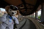 Dcim6284/DSC_3328