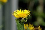 Dcim6291/DSC_1670