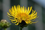 Dcim6291/DSC_1671
