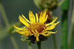 Dcim6291/DSC_1673