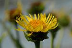 Dcim6291/DSC_1674