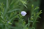 Dcim6291/DSC_1686
