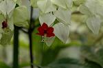Dcim6291/DSC_1744
