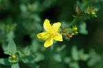 Dcim6293/DSC_1782