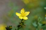 Dcim6293/DSC_1784