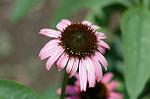Dcim6293/DSC_1791