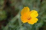 Dcim6293/DSC_1850