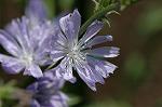 Dcim6294/DSC_1954