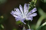 Dcim6294/DSC_1957