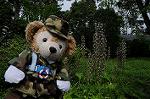 Dcim6298/DSC_4151