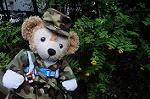 Dcim6298/DSC_4160