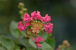 Dcim6299/DSC_2269
