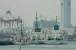 Dcim6314/DSC_2686
