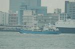 Dcim6314/DSC_2711