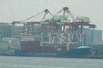 Dcim6315/DSC_2783