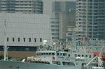 Dcim6315/DSC_2806