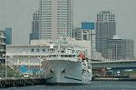 Dcim6315/DSC_2818