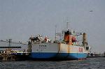 Dcim6317/DSC_5338