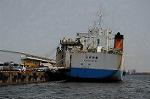 Dcim6317/DSC_5350