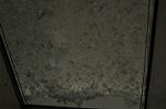 Dcim6318/DSC_5582