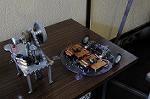 Dcim6319/DSC_5610