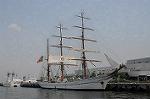 Dcim6324/DSC_6119