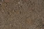 Dcim6337/DSC_6592